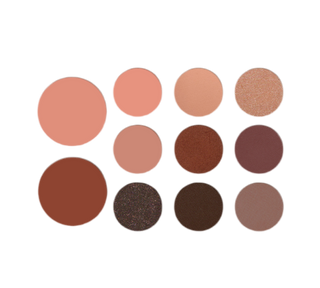 11 EYESHADOWS & BLUSH PALETTE